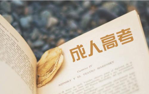 怎樣制定成人高考的學習計劃?
