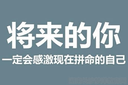 天津成人高考 專業選擇