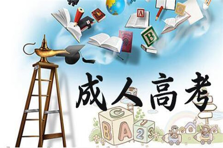 成人高考 網絡教育 函授