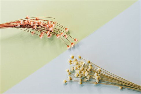 天津函授本科有學士學位證嗎？