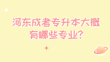 河東成考專升本大概有哪些專業